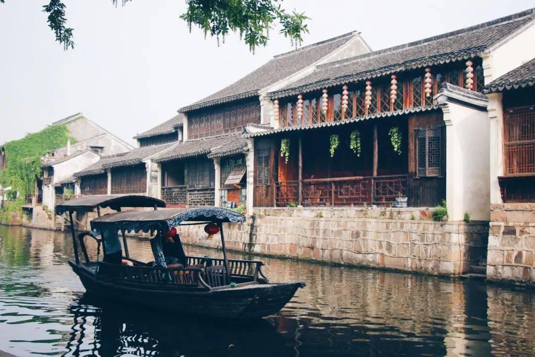 小长颈鹿逃离